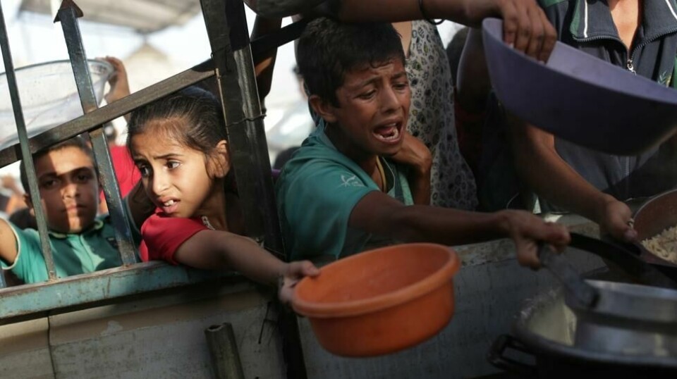En gruppe uavhengige eksperter slo nylig fast at Gaza trues av hungersnød fordi Israel ikke slipper inn nok nødhjelp til palestinerne der. Nord på Gazastripen kan hungersnød alt være et faktum, ifølge ekspertene. Foto: AP NTB