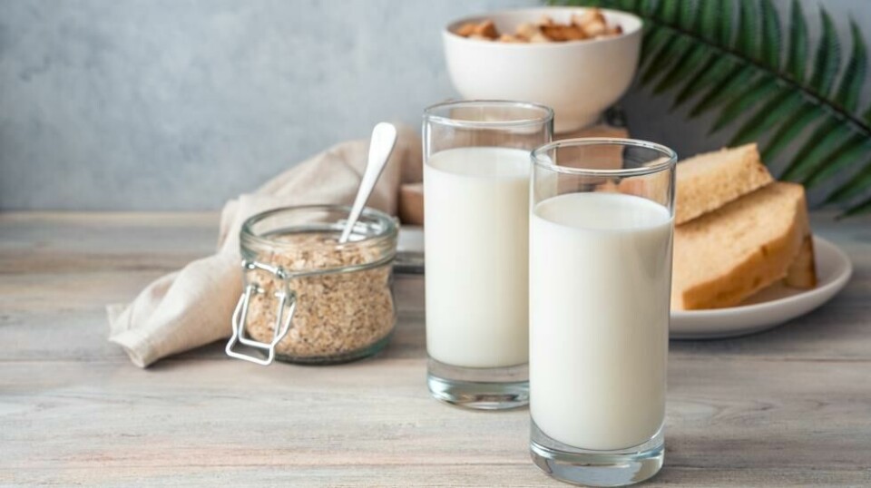 Europeere har drukket melk i tusenvis av år
