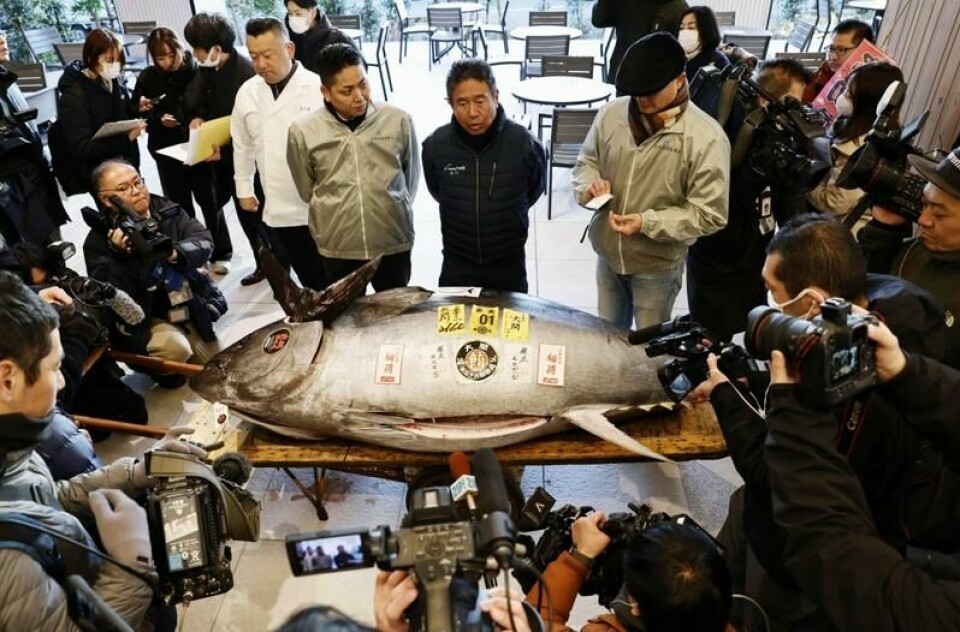 Tidenes nest dyreste nyttårstunfisk ble solgt for 207 millioner yen – rundt 25 millioner kroner – i Tokyo søndag. I tillegg til et par hundre kilo fisk, får kjøperen medieoppmerksomhet og prestisje med på kjøpet.