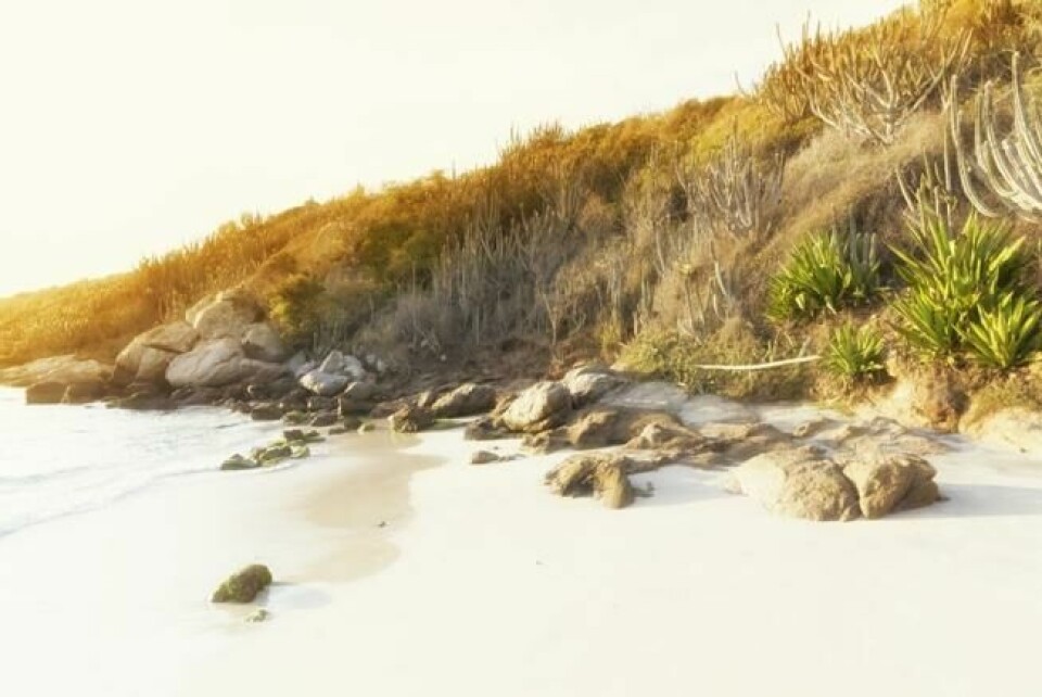 Praia do Forno, slik det ser ut på illustrasjonsbilder. I virkeligheten er det overfylt av turister. Praia do Forno, slik det ser ut på illustrasjonsbilder. I virkeligheten er det overfylt av turister. Foto: NTB scanpix / Shutterstock