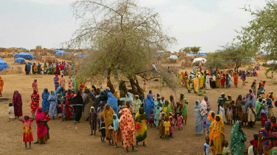 FNs barnefond Unicef sa fredag at 700.000 barn i Sudan sannsynligvis vil lide av kraftig underernæring i år, og at titusenvis står i fare for å dø. Foto: Karel Prinsloo / AP / NTB