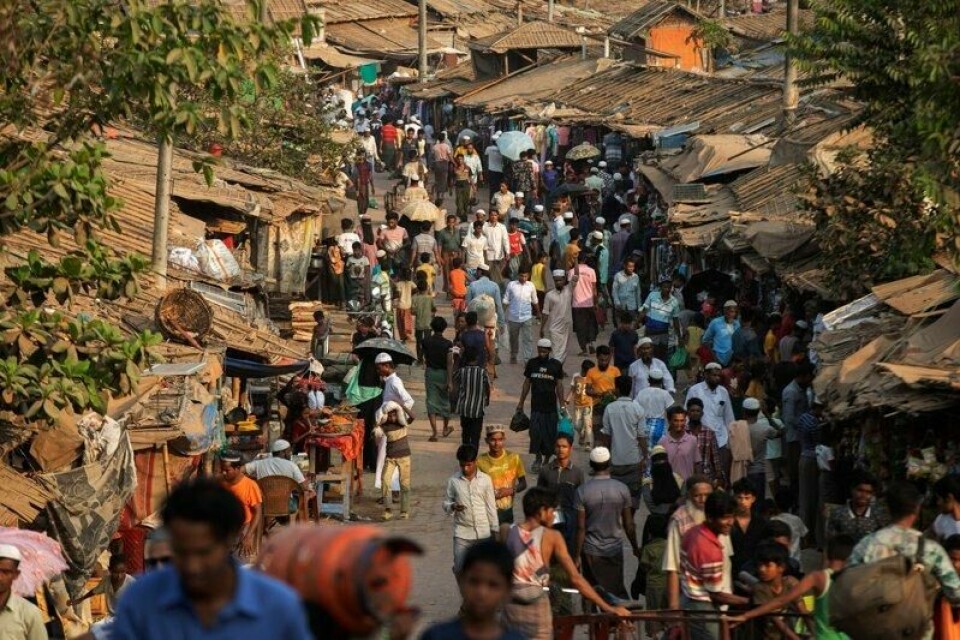 Verdens matvareprogram har meldt at de må halvere nødhjelpen til over én million flyktninger i Cox's Bazar, Bangladesh, fra 1. april på grunn av manglende finansiering.