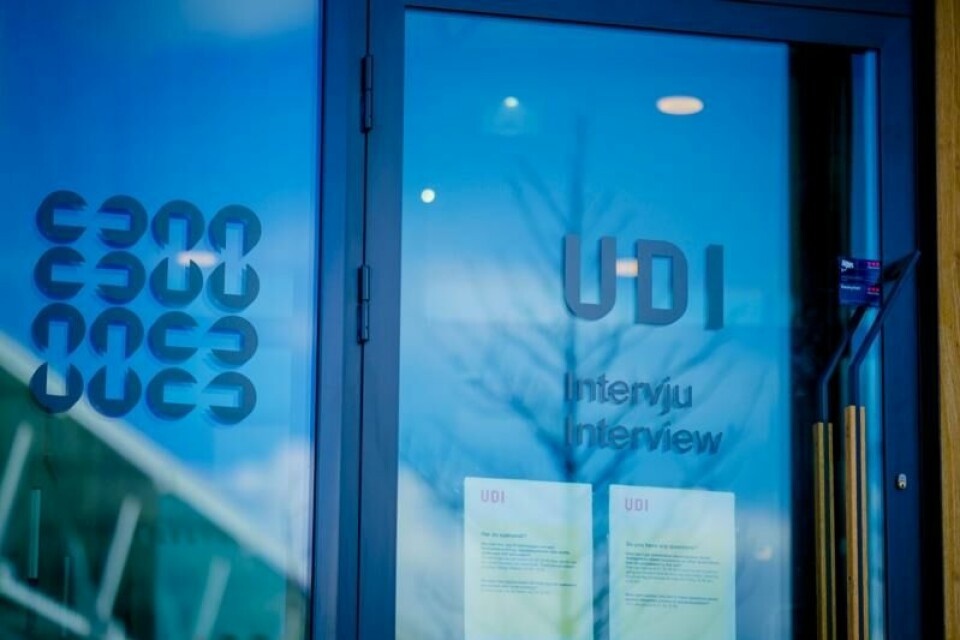 Utlendingsdirektoratet (UDI) har vedtatt å sette asylsøknader fra Syria på pause inntil videre etter regimets fall, men gjør unntak for enslige barn.
