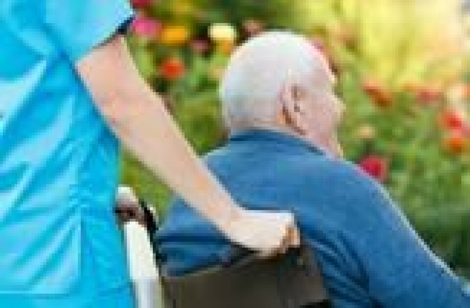 Holmøy tror økt kunnskap om en av sykdommene som rammer nervesystemet, slik at nerveceller blir syke og dør, som ALS, Parkinson og Alzheimer, kan vise seg å bli nyttig for flere av dem. llustrasjonsfoto: Colourbox.com Holmøy tror økt kunnskap om en av sykdommene som rammer nervesystemet, slik at nerveceller blir syke og dør, som ALS, Parkinson og Alzheimer, kan vise seg å bli nyttig for flere av dem. llustrasjonsfoto: Colourbox.com