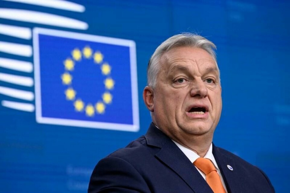 Polen har overtatt formannskapet i EU fra Ungarn og Viktor Orban. Polen har overtatt formannskapet i EU fra Ungarn og Viktor Orban. Foto: John Thys / AFP via NTB