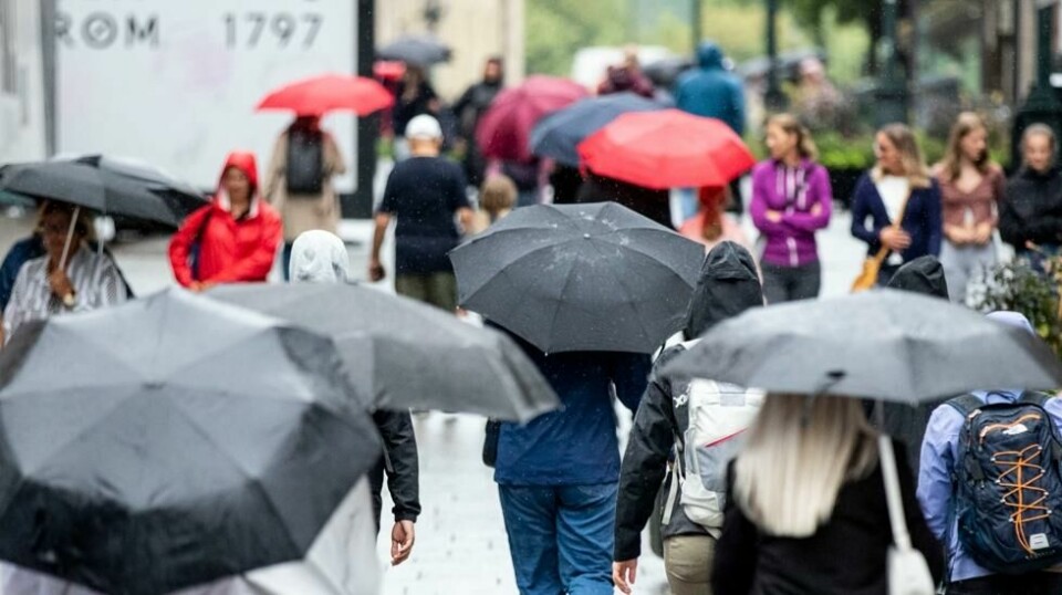Det er bare å finne fram paraplyen, for de neste 48 timene blir det vått, melder Meteorologisk institutt.