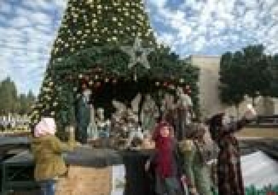 TROENDE. Flere muslimske kvinner er samlet foran et juletre ved Fødselskirken for å ta en selfie. Foto: Atef Safadi/EPA TROENDE. Flere muslimske kvinner er samlet foran et juletre ved Fødselskirken for å ta en selfie. Foto: Atef Safadi/EPA