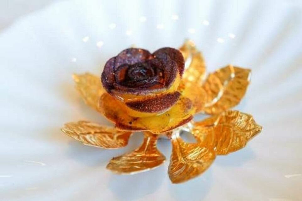 Utseendet på denne retten hos danske Geranium, en gulbete formet som en rose, med tindved, søl og geitost, er inspirert av overdådigheten i Versailles. Utseendet på denne retten hos danske Geranium, en gulbete formet som en rose, med tindved, søl og geitost, er inspirert av overdådigheten i Versailles. Foto: Helle Valebrokk / Finansavisen