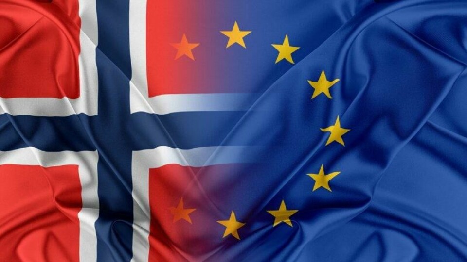 Flere er positive til norsk EU-medlemskap.