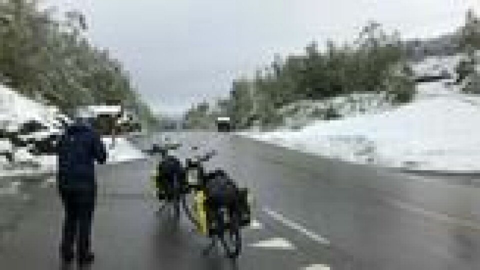 Da vi ble møtt med snø på 390 meters høyde i Sogn og Fjordane, var det slutt på sykkelgleden. Da vi ble møtt med snø på 390 meters høyde i Sogn og Fjordane, var det slutt på sykkelgleden. Foto: Roger Grosvold/ABC Nyheter