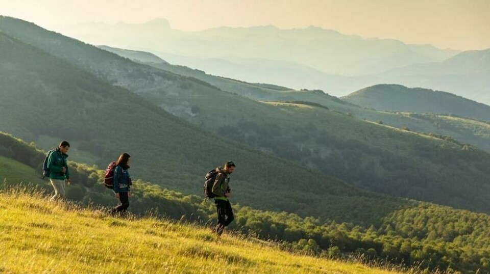 Vandring i den italienske fjellkjeden i Appenninene, som er et av de europeiske områdene som er utpekt som Wildife Heritage Area. Her kan du se ulv, ørn og ikke minst den sjeldne Marcikan-brunbjørnen. Foto: