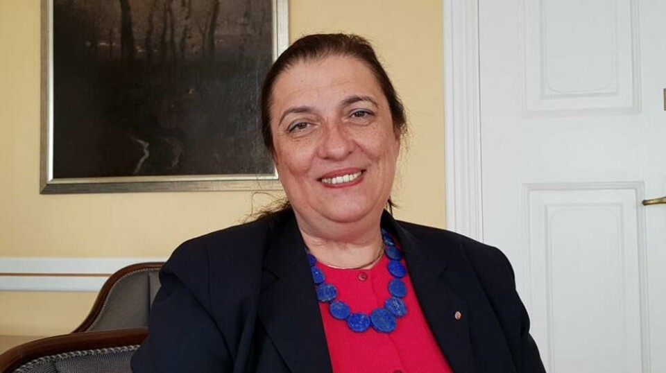 UNGARSK SVAR: Ambassadør Anna Mária Sikó snakker for første gang ut om kritikken mot valget i Ungarn.