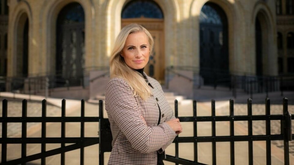 Forbrukerøkonom Silje Sandmæl i DNB har gått gjennom statsbudsjettet for å finne punktene som vil påvirke folks lommebok.