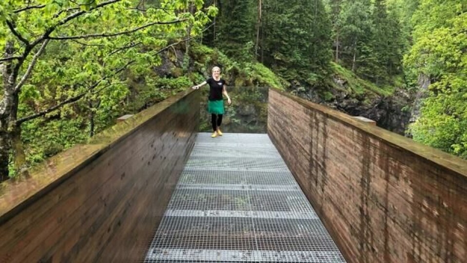 Om du tør kan du ta turen ut på «planken» kan du kjenne suget i magen og se Kvåsfossen rase majestetisk ned i lakseelven. Om du tør kan du ta turen ut på «planken» kan du kjenne suget i magen og se Kvåsfossen rase majestetisk ned i lakseelven. Foto: Roger Grosvold/ABC Nyheter