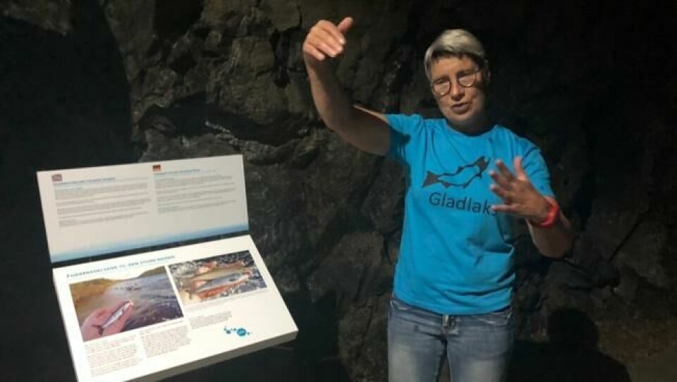 Vigdis Aas er ansatt ved laksesenteret. Hun lærer både små og store om villaksens livssyklus. Vigdis Aas er ansatt ved laksesenteret. Hun lærer både små og store om villaksens livssyklus. Foto: Elisabeth Bergskaug/ABC Nyheter