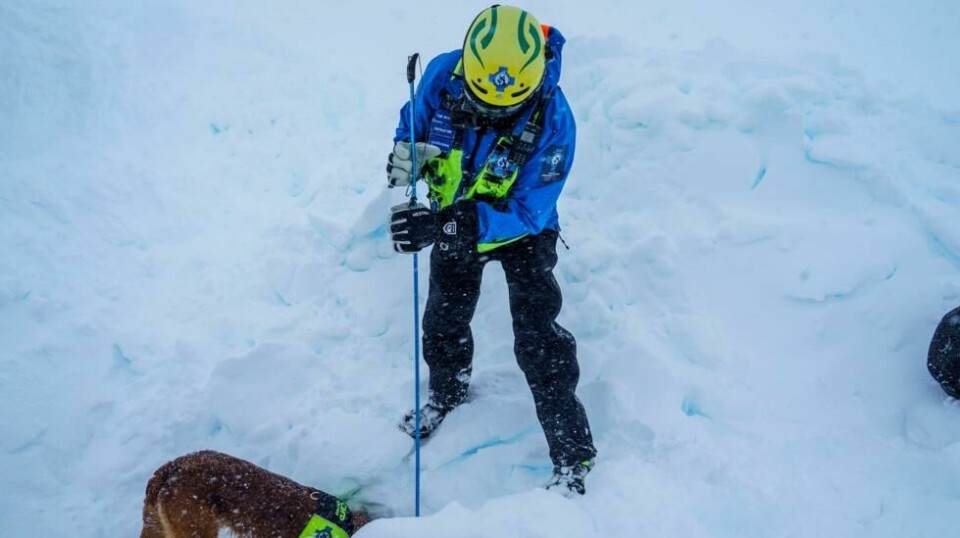 Skredmannskapet kan måtte rykke ut de neste dagene. Flere steder er det varslet betydelig eller stor snøskredfare. Foto: Cornelius Poppe / NTB