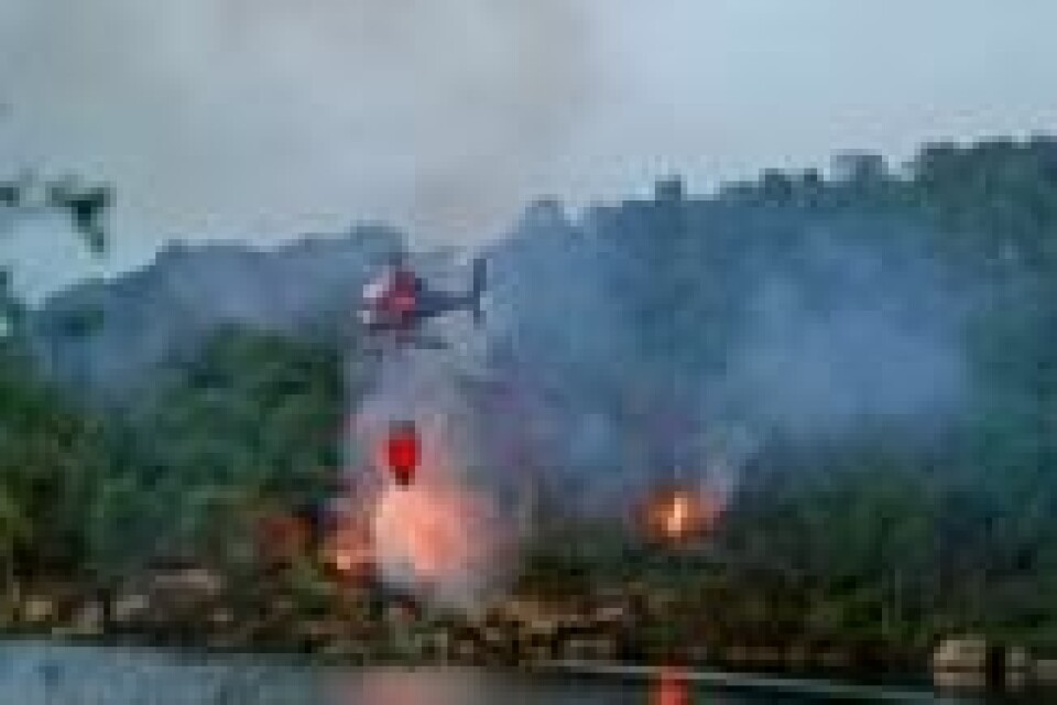 Skogbrannhelikopter og brannmannskaper fra fire ulike stasjoner rykket ut for å slukke en gressbrann på Sotra i forrige uke. Skogbrannhelikopter og brannmannskaper fra fire ulike stasjoner rykket ut for å slukke en gressbrann på Sotra i forrige uke. Foto: Silje Katrine Robinson / NTB