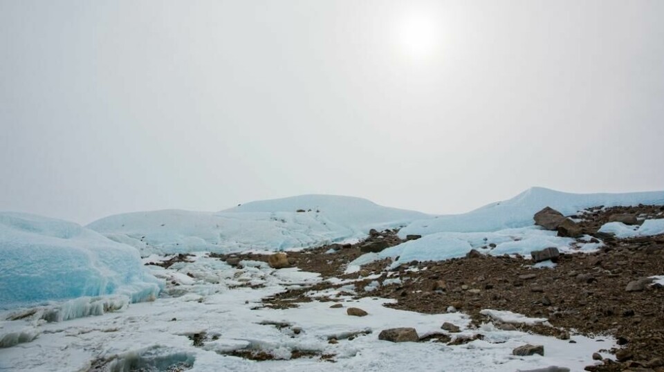 Det er første gang at fugleinfluensa er oppdaget i Subantarktis. Her fra Jutulsessen i Antarktis. Foto: Tore Meek / NTB