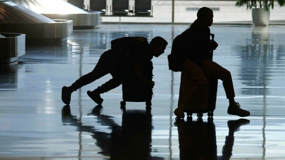 Unike grep skal trekke turister til Tasmania (AP Photo/Rick Bowmer / NTB)