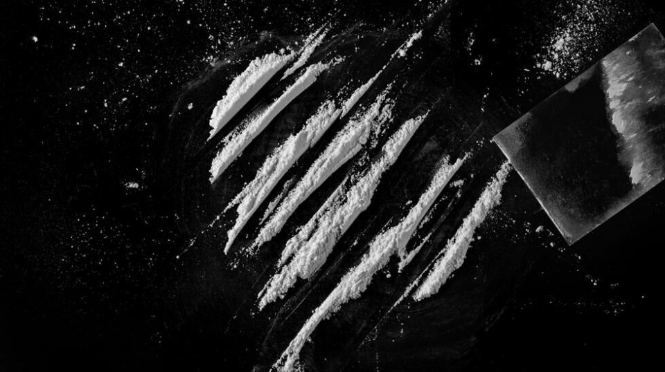 Tilhengerne argumenterer med at legalisering gir større kontroll over markedet og tryggere bruk hvis folk likevel bruker kokain ulovlig.