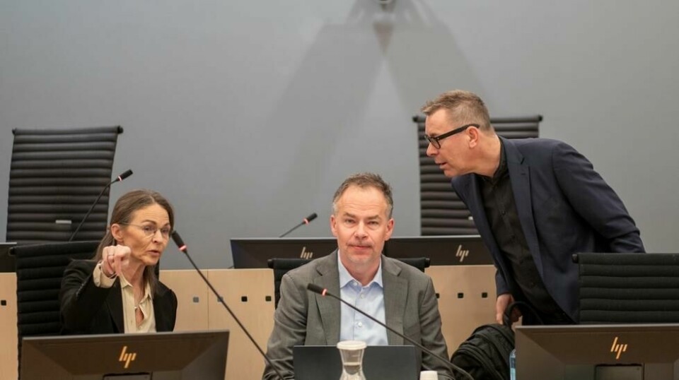 Psykiatrispesialist Synne Sørheim konkluderer med at symptomene Zaniar Matapour har utvist i en årrekke, innfrir kriteriene til diagnosen kronisk paranoid schizofreni. Psykologspesialistene Knut-Petter Langlo og psykolog Pål Grøndahl (til høyre) er uenige. Foto: Heiko Junge / NTB