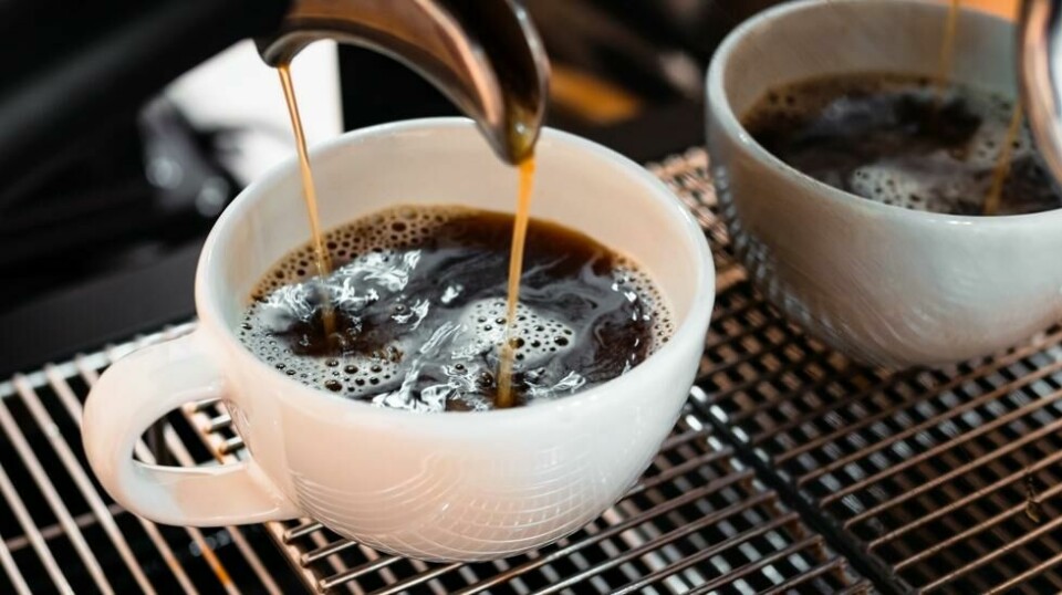Illustrasjonsbilde. Nå kan du kjøpe kaffe laget av daddelkjerner.