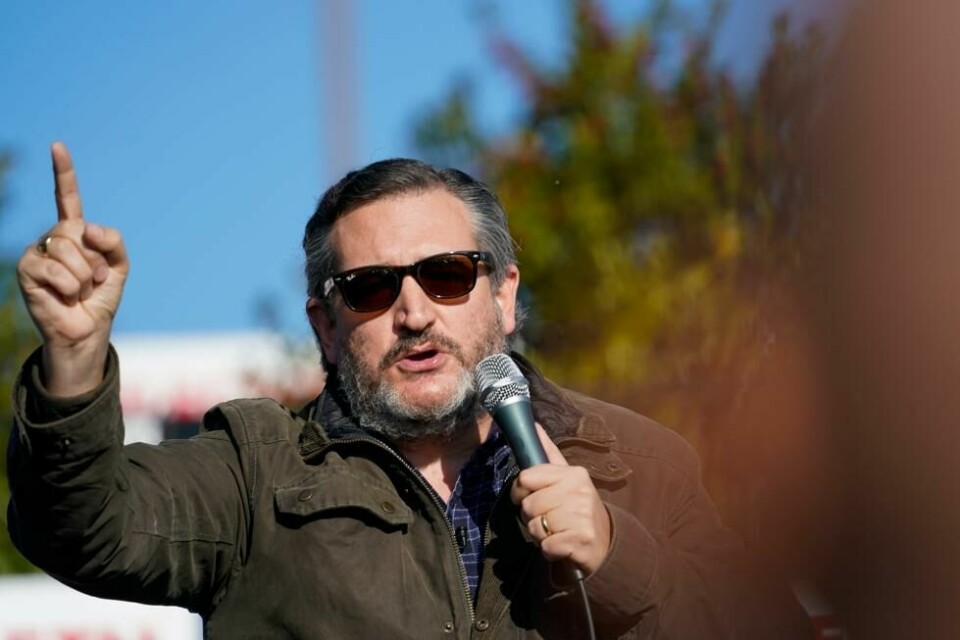 Senator Ted Cruz fra Texas er en av de som ikke tror at Bidens navn vil stå på stemmeseddelen i høst. Senator Ted Cruz fra Texas er en av de som ikke tror at Bidens navn vil stå på stemmeseddelen i høst. Foto: Brynn Anderson / AP / NTB scanpix