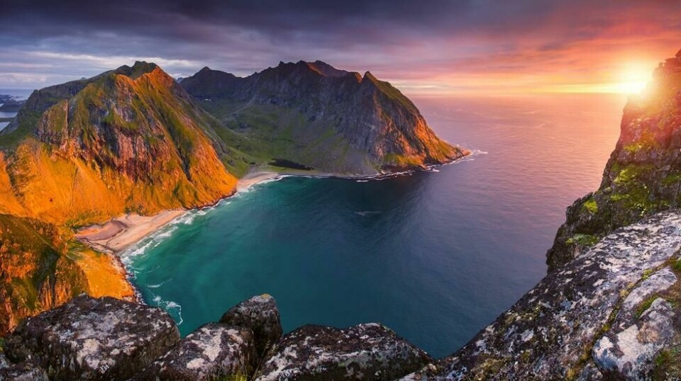 MEKTIG: Ryten i Lofoten.