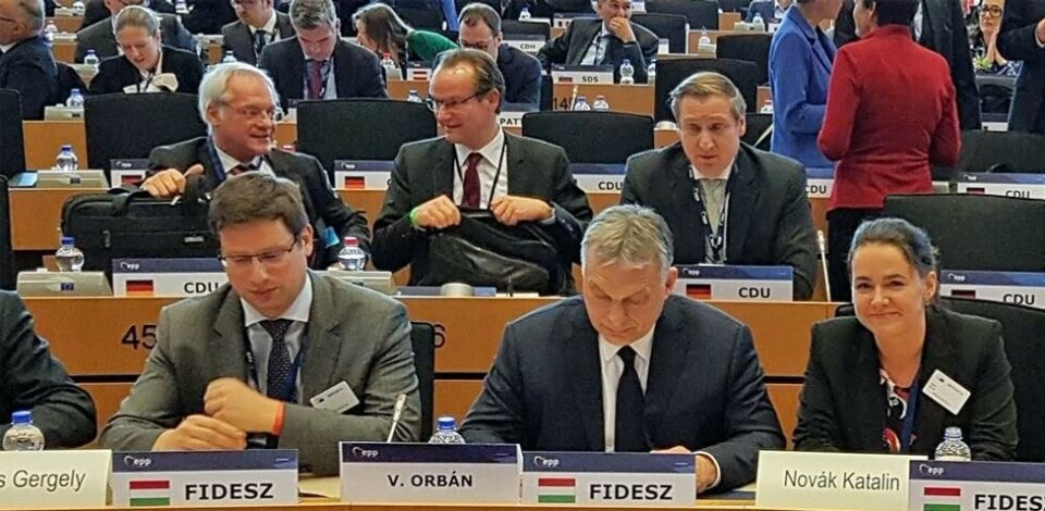 I LØVENS HULE: Fidesz-delegasjonen på møtet i EPPs politiske forum 20. mars. Ledelsen foreslår å legge medlemskapet på is mens en komité på tre gransker Fidesz. I LØVENS HULE: Fidesz-delegasjonen på møtet i EPPs politiske forum 20. mars. Ledelsen foreslår å legge medlemskapet på is mens en komité på tre gransker Fidesz. Foto: Katalin Novák / Fidesz