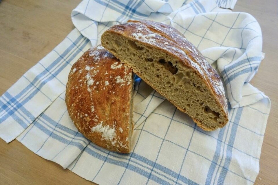 Det er anbefalt å spise grovt brød, grovt knekkebrød, kornblandinger, gryn, fullkornspasta eller andre fullkornsprodukter til minst to måltider hver dag. Anbefalt inntak er minst 90 gram fullkorn hver dag. Det er anbefalt å spise grovt brød, grovt knekkebrød, kornblandinger, gryn, fullkornspasta eller andre fullkornsprodukter til minst to måltider hver dag. Anbefalt inntak er minst 90 gram fullkorn hver dag. Foto: Marianne Løvland / NTB