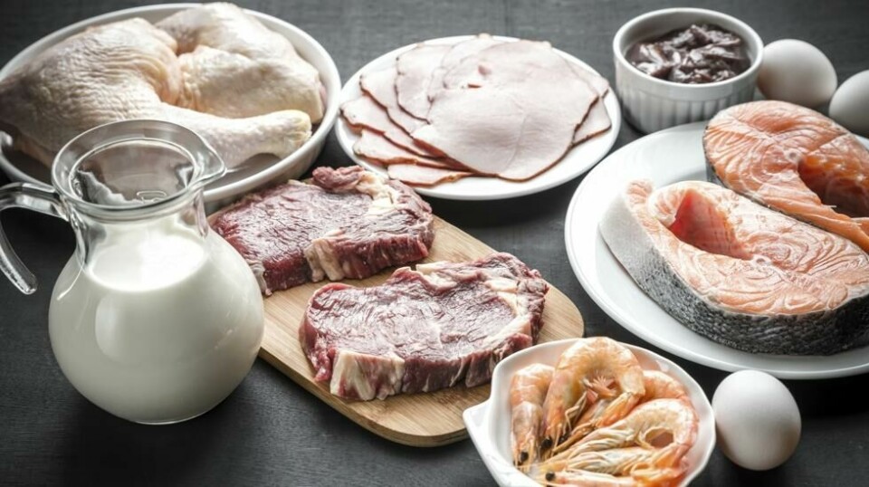 En ketogen diett består av mye kjøtt, fisk og skalldyr.