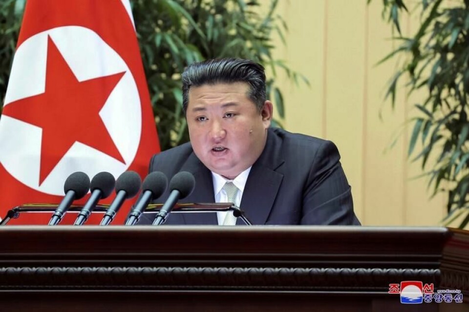 Nord-Koreas leder Kim Jong-un tok mandag imot både en delegasjon fra Russlands militærakademi og også Russlands minister for naturressurser, ifølge landets statlige nyhetsbyrå KCNA.
