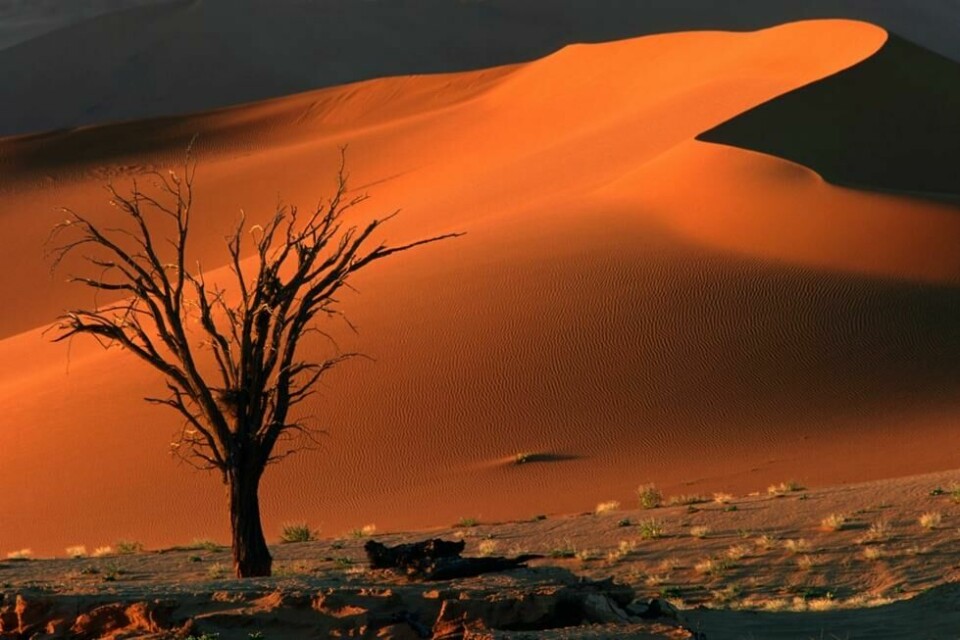 Den vakre, men ugjestmilde Namib-ørkenen har vært den utstøtte folkegruppen basternes hjemsted i flere hundre år. (Foto: Nico Smit) Den vakre, men ugjestmilde Namib-ørkenen har vært den utstøtte folkegruppen basternes hjemsted i flere hundre år. (Foto: Nico Smit)