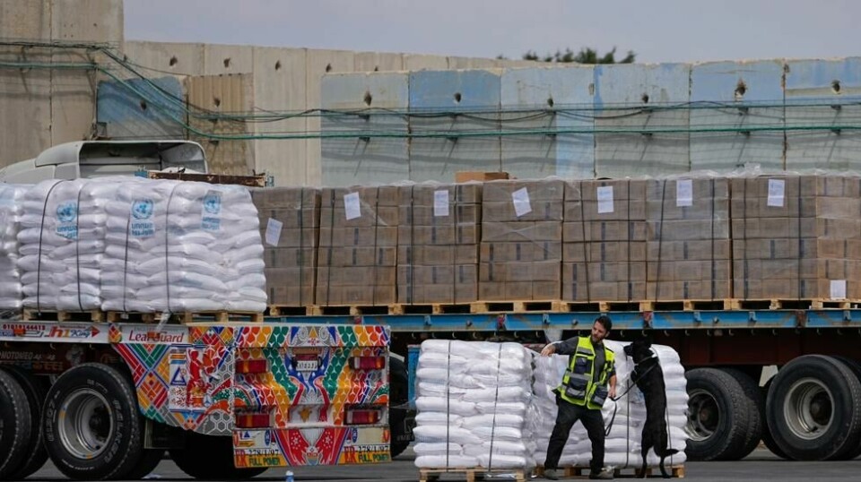 Lastebiler med nødhjelp til Gazastripen blir inspisert ved grenseovergangen Kerem Shalom. Israels evakueringsordre for store deler av den sørlige Gazastripen spolerer FNs innsats for å få inn mer nødhjelp, sier lederen for FNs nødhjelpsarbeid i de palestinske områdene. Foto: Ohad Zwigenberg / AP / NTB