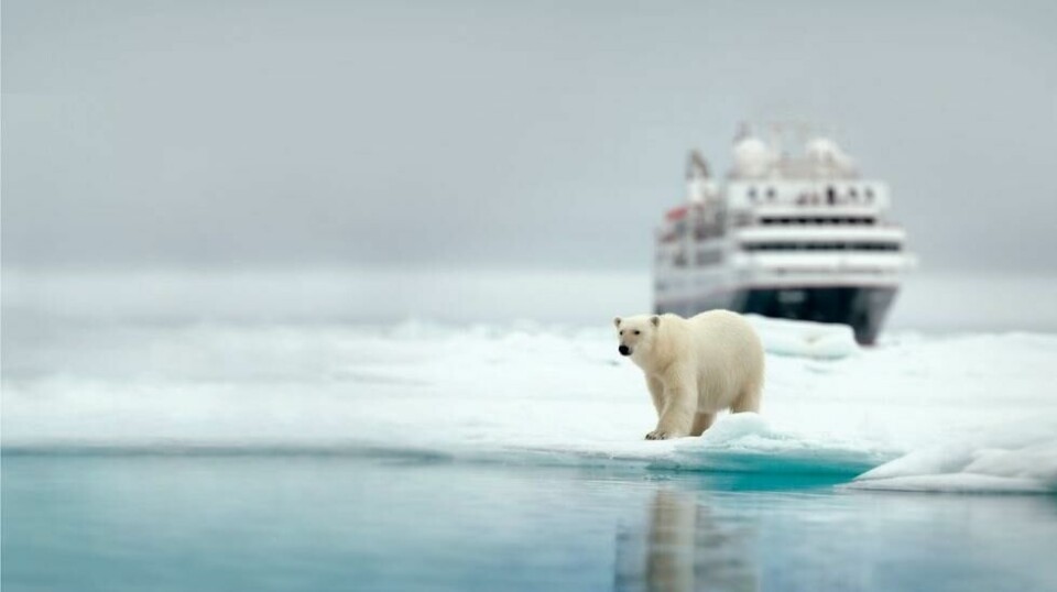 Strengere regler for cruisenæring skal gi bedre beskyttelse for ville dyr og klima på Svalbard.