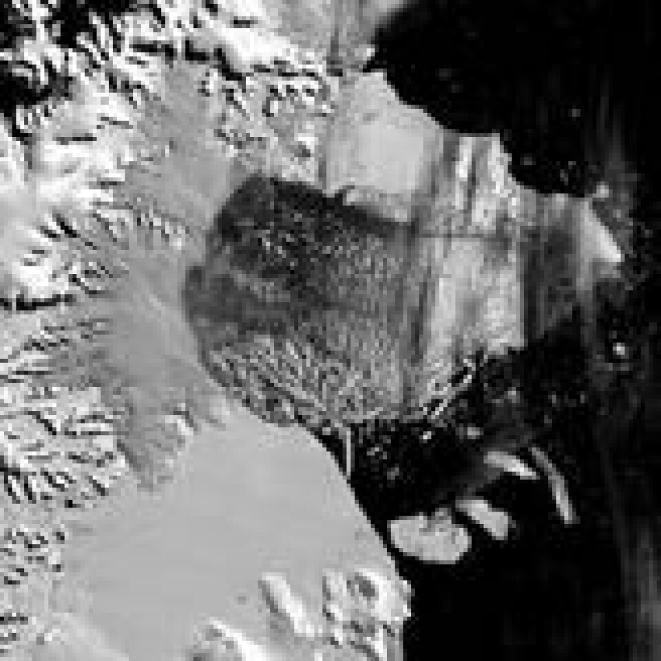 I 2002 brøt Larsen B seg løs fra det samme området, her dokumentert av en av NASAs satellitter. I 2002 brøt Larsen B seg løs fra det samme området, her dokumentert av en av NASAs satellitter. Foto: AP