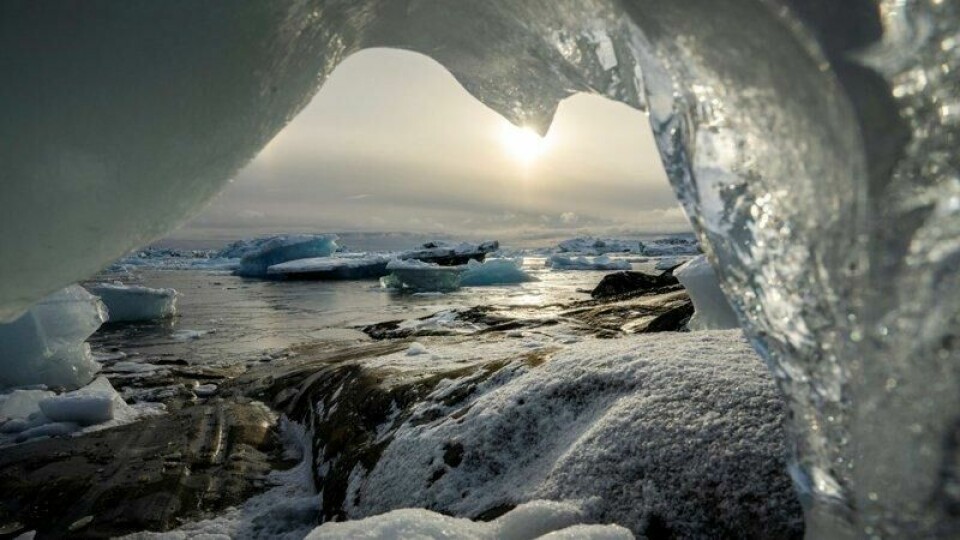 Klimakrisen er den største sikkerhetstrusselen mot alt liv på jorden. 2024 var det varmeste året som noensinne er målt, og første gang vi krysset grensen for 1,5 grader oppvarming, skriver Marte Hansen Haugan og Arne Næss-Holm.