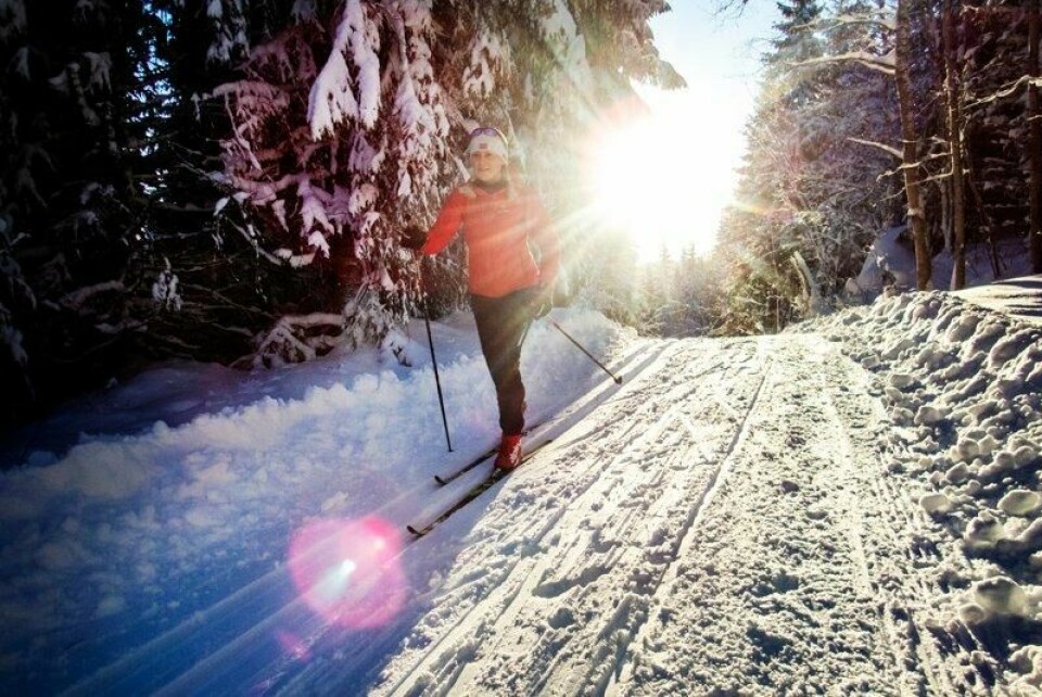 13 prosent av ferierende nordmenn planlegger skiferie, viser en fersk undersøkelse.