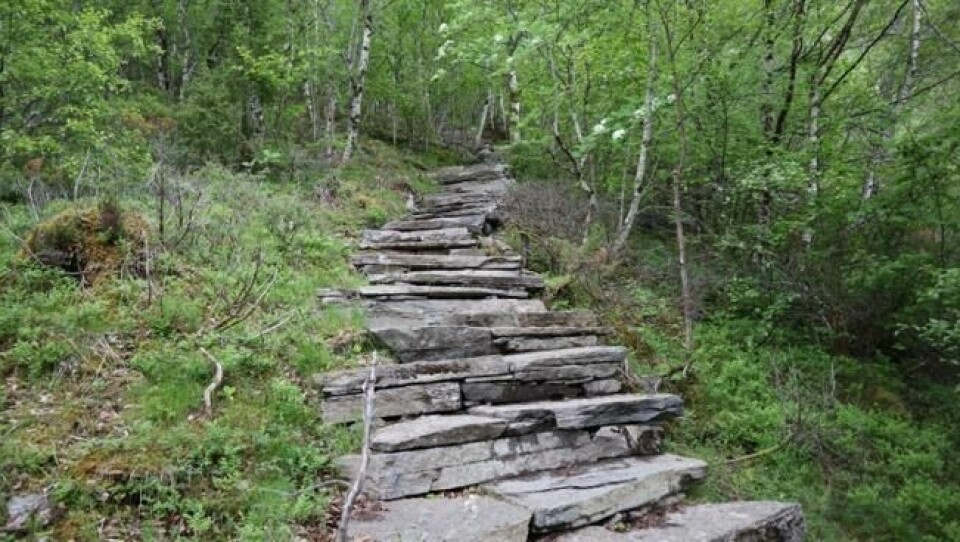 Midsundtrappene ser ut som de har vært en del av landskapet i århundrer. I vikreligheten er de kun noen få år gamle. Foto: Roger Grosvold Midsundtrappene ser ut som de har vært en del av landskapet i århundrer. I vikreligheten er de kun noen få år gamle. Foto: Roger Grosvold
