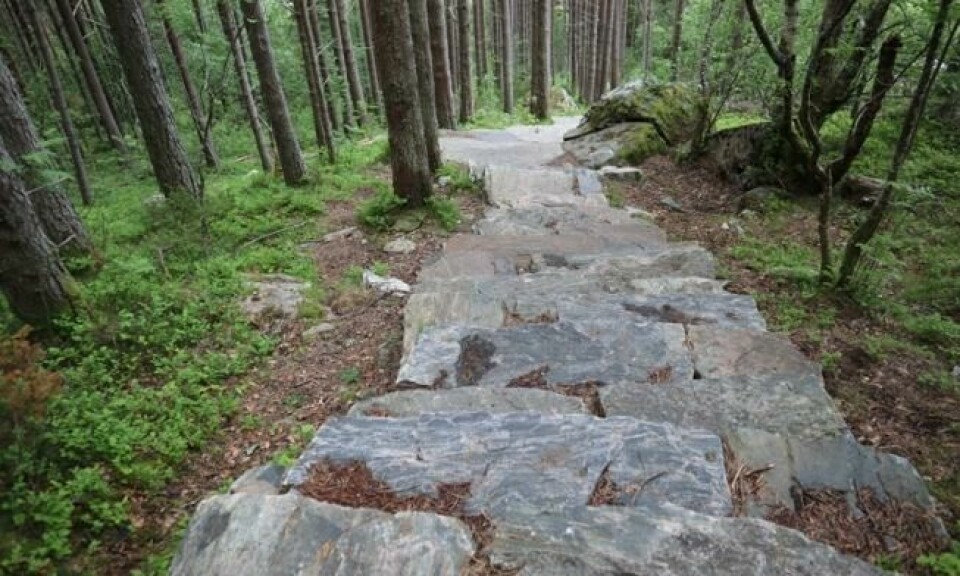 Trappebygging i norske fjellsider er en stadig voksende trend. Foto: Roger Grosvold Trappebygging i norske fjellsider er en stadig voksende trend. Foto: Roger Grosvold