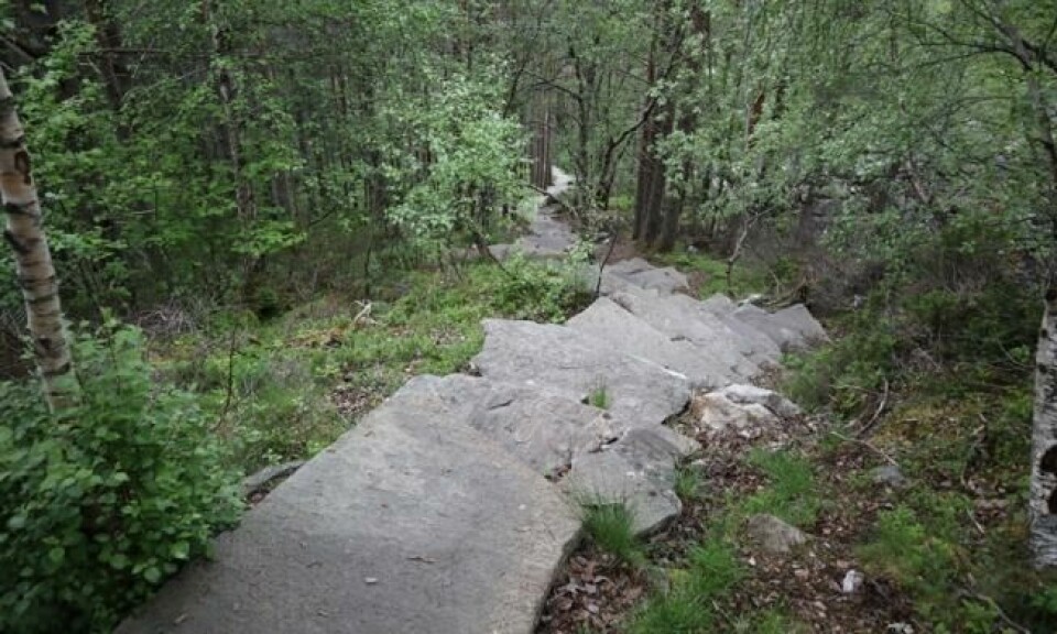 I 2016 ble en steintrapp lagt i rekordfart opp til Digergubben (527 moh) i Midsund like utenfor Molde. Foto: Roger Grosvold I 2016 ble en steintrapp lagt i rekordfart opp til Digergubben (527 moh) i Midsund like utenfor Molde. Foto: Roger Grosvold