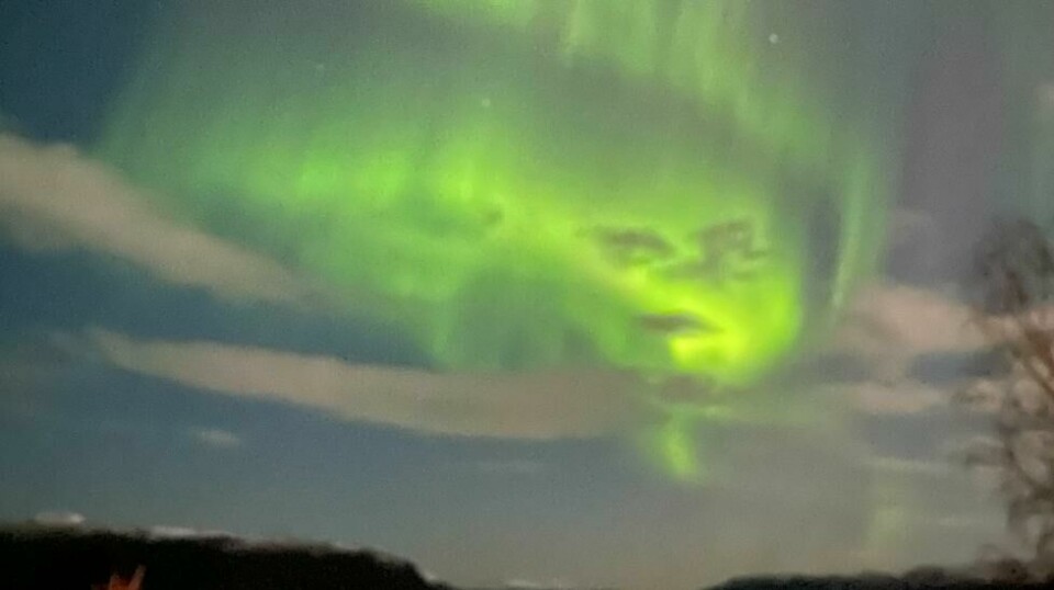 Ser du hvilken jule-skurk som gjemmer seg i nordlyset? Bildet ble fanget av Silje Johansson i Vågland i Trøndelag lørdag.