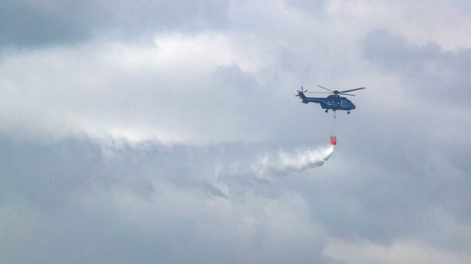 Illustrasjonsfoto: Jens Buettner/dpa via AP/ NTB Scnapix