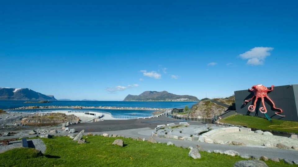 Atlanterhavsparken ligger på Tueneset ved Skarbøvika, helt ut mot havet i bydelen Hessa, cirka tre km fra Ålesund sentrum. Foto: Marius Simensen / NTB scanpix