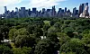 Central park i New York City. Flere studier viser at å besøke grønne områder gir bedre helse. Foto: REUTERS/Mike Segar