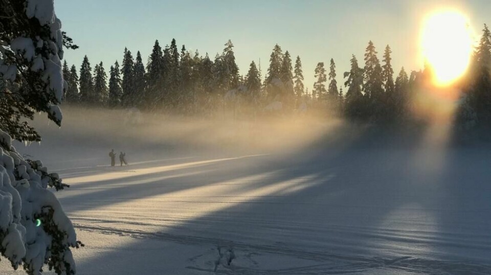 HØYFJELLET: Den norske turistforeningen er verdensmestre i å legge forholdene til rette for gode opplevelser i fjellet, for en billig penge. (Foto: Bjørn Moholdt)