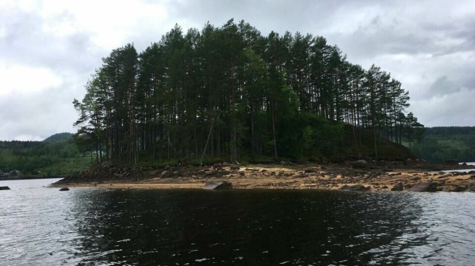 Riksantikvaren freder skogfinsk gravholme | ABC Nyheter