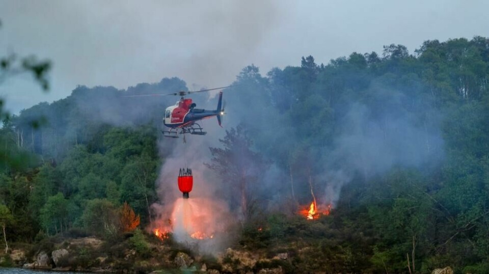 Skogbrannhelikopter og brannmannskaper fra fire ulike stasjoner jobber med å slukke en gressbrann på Sotra. Brannen startet i forbindelse med sprengningsarbeid.