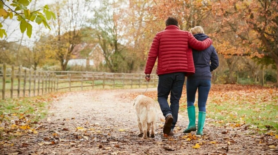 Illustrasjonsfoto: Colourbox.com