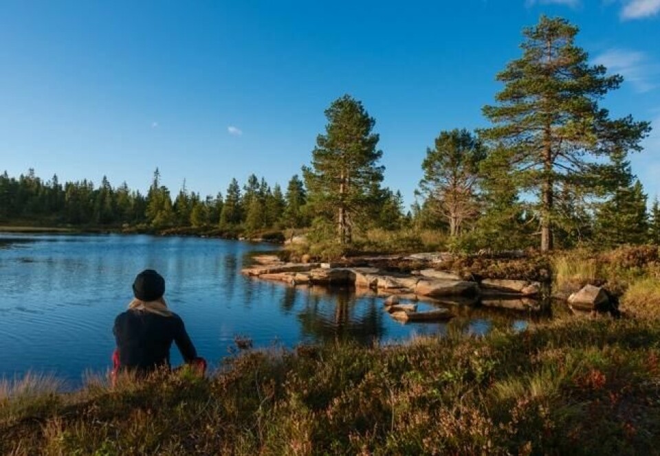Å være ute i naturen kan dempe stress og angst. Å være ute i naturen kan dempe stress og angst. Foto: Privat